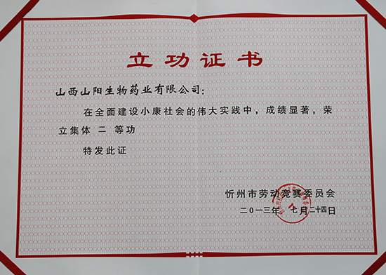 山陽(yáng)藥業(yè)立功證書